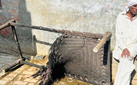 घर में आग लगने से महिला की मौत:नारनौंद में मां को बचाते बेटा झुलसा; शॉर्ट सर्किट से लगी, पेट्रोल से भड़की