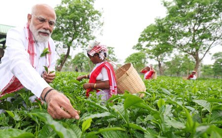 पीएम मोदी ने असम के चाय बगान में पत्ती तोड़ी:महिला कामगारों के साथ सेल्फी ली; केरलम में राहुल ने बस में सफर किया...11 PHOTOS