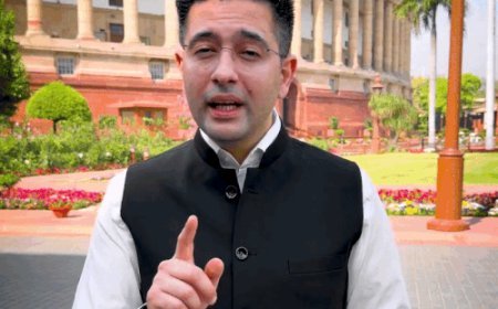 राघव चड्ढा का जवाब- खामोश कराया, हारा नहीं:AAP बोली- कोई मोदी से डर जाए तो क्या लड़ेगा; कल राज्यसभा उपनेता पद से हटाया था