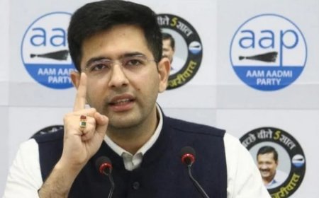 'घायल हूं इसलिए घातक हूं': राघव चड्ढा का पलटवार, बोले- 3 आरोप, एक भी सच नहीं