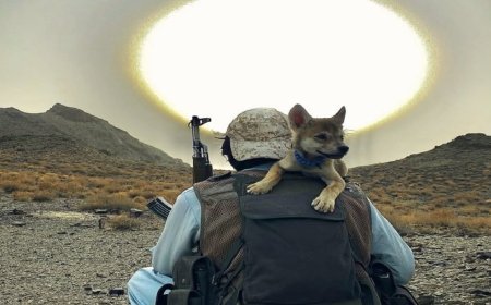 बलोचों का ऐलान, अगर हुए आजाद तो भारत को देंगे 3 जबरदस्त चीजें !