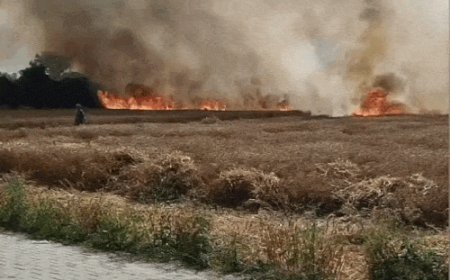 घरौंडा में कंबाइन से गेहूं कटाई के दौरान लगी आग:5 एकड़ फसल राख, किसानों ने खुद बुझाई आग, मुआवजे की मांग