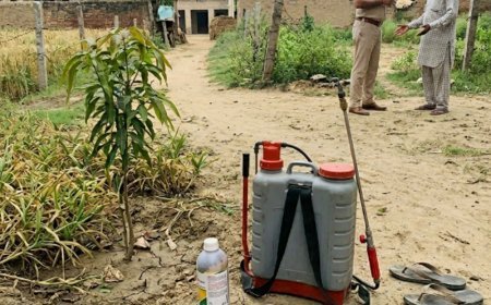 चरखी दादरी में कीटनाशक के प्रभाव से व्यक्ति की मौत:खेत में कर रहा था छिड़काव, महेंद्रगढ़ अस्पताल में दम तोड़ा