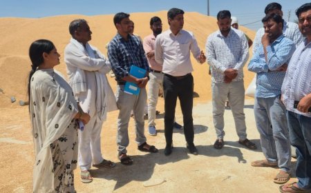 भिवानी में नायब तहसीलदार ने मंडियों का किया निरीक्षण:पेयजल और सफाई व्यवस्था दुरुस्त रखने के निर्देश, नमी के अनुसार फसल लाने की अपील