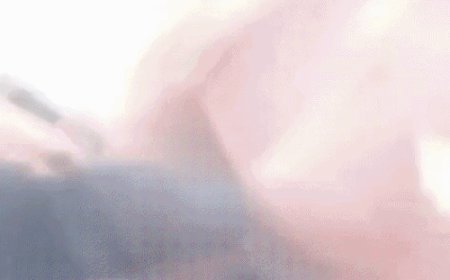 हरियाणा रोडवेज के ड्राइवर ने लाइनमैन पीटा,VIDEO:सीट को लेकर झगड़ा, सोनीपत में उतरकर बोला- किस बात की अकड़ है, बुला किसे बुलाएगा