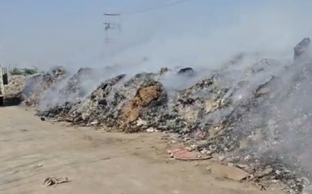 सांपला के डंपिंग एरिया में लगी आग:गौशाला का चारा गोदाम 10 फुट दूर, फायर ब्रिगेड पर समय से नहीं पहुंचने का आरोप