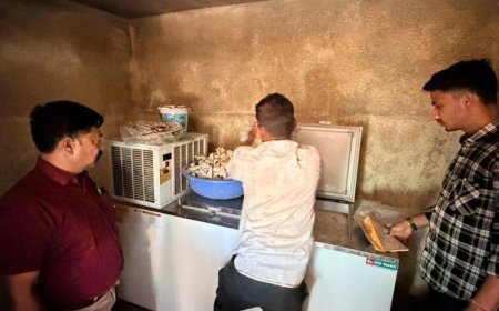 स्वास्थ्य की टीम ने 2000 खराब कुल्फी नष्ट करवाई:15 किलो सड़ा मावा फेंका, 5 मिठाइयों के नमूने लेकर लैब भेजा