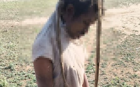 नूंह में पेड़ पर लटका मिला व्यक्ति का शव:सुबह लोगों ने देखा, 2 बच्चों को पिता था; एक दिन पहले ही पत्नी बच्चों संग मायके गई