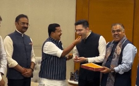 AAP छोड़ते ही राघव चड्ढा के 14 लाख इंस्टाग्राम-फॉलोअर्स घटे:संजय सिंह बोले- 7 राज्यसभा सांसदों को अयोग्य ठहराने के लिए सभापति को चिट्‌ठी लिखेंगे