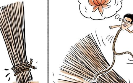 7 सांसदों ने AAP छोड़ी, क्या पंजाब में टूट होगी:2022 में चड्ढा-पाठक ने चुनाव जितवाया, दिल्ली हार के बाद बगावत संभाली; अब 30-35 MLA पर नजर