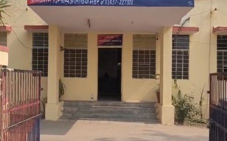 फर्जी पटवारी बनकर किसानों से ठगी करने वाले दो गिरफ्तार:सरकारी योजनाओं के नाम पर ठगते थे, ऑनलाइन दर्ज हैं 29 शिकायतें