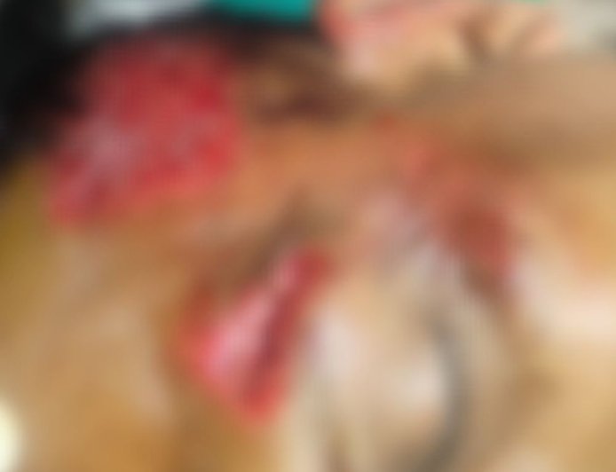 फरीदाबाद में कार ने पुलिसकर्मी को मारी टक्कर:सिर में लगी गंभीर चोट, आरोपी युवक फरार; पुलिस मामले की जांच में जुटी