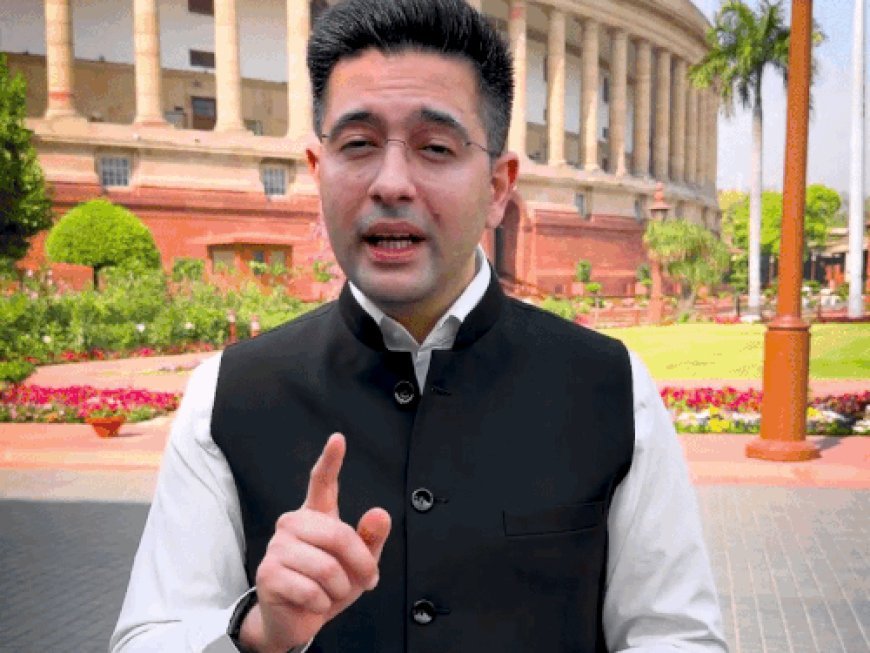 राघव चड्ढा का जवाब- खामोश कराया, हारा नहीं:AAP बोली- कोई मोदी से डर जाए तो क्या लड़ेगा; कल राज्यसभा उपनेता पद से हटाया था