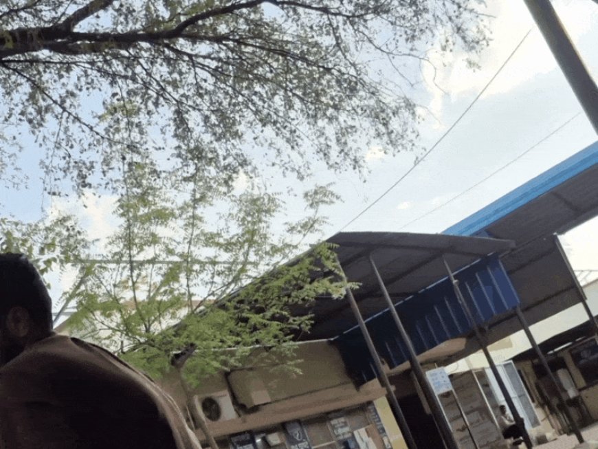 पूर्व सैनिक और बुजुर्ग माता-पिता पर मधुमक्खियों का हमला:शरीर से निकाले 100 से ज्यादा डंक,जवाहरपुरा गांव की घटना, कट्टे की ओट में छिपे पिता