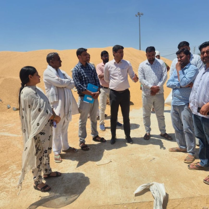 भिवानी में नायब तहसीलदार ने मंडियों का किया निरीक्षण:पेयजल और सफाई व्यवस्था दुरुस्त रखने के निर्देश, नमी के अनुसार फसल लाने की अपील