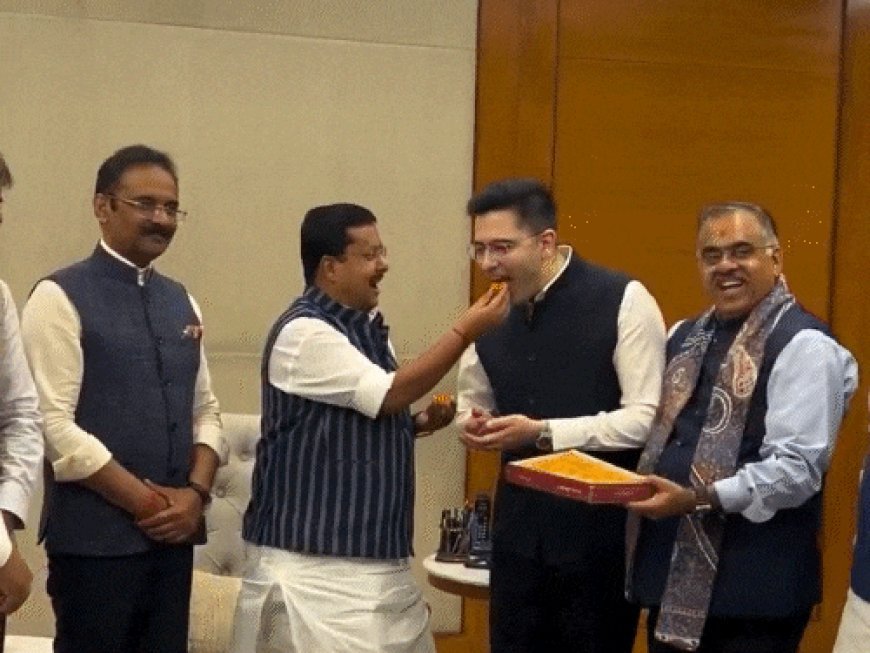 AAP छोड़ते ही राघव चड्ढा के 14 लाख इंस्टाग्राम-फॉलोअर्स घटे:संजय सिंह बोले- 7 राज्यसभा सांसदों को अयोग्य ठहराने के लिए सभापति को चिट्‌ठी लिखेंगे