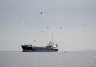US Navy को फिर मिला चकमा, Iran का दूसरा Supertanker DERYA भी इंडोनेशिया पहुंचा