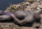 फरीदाबाद की नहर में मिला युवक का शव:जेब में मिले आधार कार्ड से हुई पहचान, दिल्ली का रहने वाला