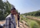 कुरुक्षेत्र में मगरमच्छों को पकड़ने के लिए रेस्क्यू:SYL में पानी का लेवल घटा, गोताखोर और विभाग चला रहे ऑपरेशन, नहर में लगाए जाल