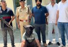 पंचकूला पुलिस ने अवैध पिस्टल समेत युवक पकड़ा:मोहाली का रहने वाला, किसी व्यक्ति का कर रहा था इंतजार, पुलिस को सप्लायर की तलाश