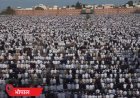 बकरीद पर दिल्ली-यूपी में मस्जिदों पर ड्रोन से निगरानी:5 राज्यों में मुस्लिम संगठनों का प्रदर्शन, गाय को राष्ट्रीय पशु घोषित करने की मांग