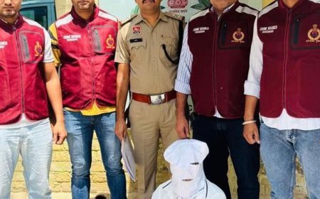 फरीदाबाद पुलिस ने दबोचा कुख्यात बदमाश:सुनसान जगह पर चाकू के बल पर की लूटपाट; 8 अन्य वारदातों का खुलासा