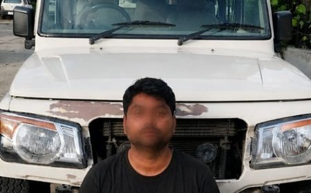 पंचकूला के हिट एंड रन केस में ड्राइवर गिरफ्तार:सबूत मिटाने को बदली गाड़ी की बॉडी, महिला की हुई थी मौत