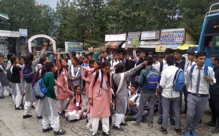 HPBOSE 12th Result 2026: जारी हुआ  हिमाचल बोर्ड 12वीं का रिजल्ट, ऐसे चेक करें अपना स्कोर