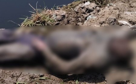 फरीदाबाद की नहर में मिला युवक का शव:जेब में मिले आधार कार्ड से हुई पहचान, दिल्ली का रहने वाला