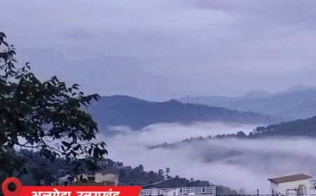 यूपी-बिहार में आंधी-बिजली से 24 घंटे में 31 मौतें:दिल्ली में ओले गिरे, हरियाणा में तूफान से 15 हजार पेड़ उखड़े; राजस्थान-हिमाचल में पारा गिरा