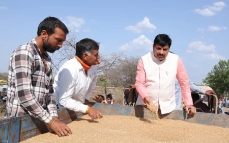 फिर अचानक गेहूं उपार्जन केंद्र पहुंचे सीएम डॉ. मोहन यादव, रिलीज किया वेयरहाउस की क्षमता बढ़ाने का ऑर्डर