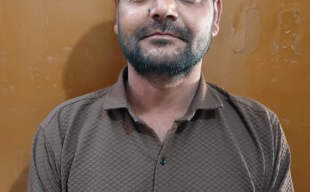 सरकारी नंबर का अनुचित तरीके से दुरुपयोग करने पर किया गया चालान