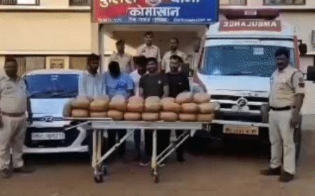 महासमुंद में 2 दिन में डेढ़ करोड़ का गांजा पकड़ाया:एबुंलेंस-पिकअप से तस्करी, ओडिशा से महाराष्ट्र ले जा रहे थे, 7 अरेस्ट