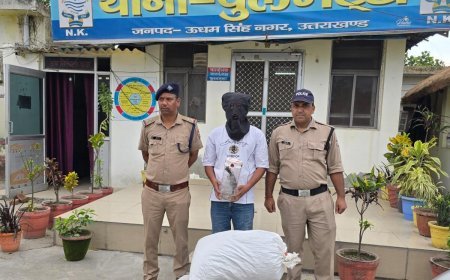 एस0ओ0टी0एफ0 कुमायूँ की बड़ी कार्यवाही — 16.560 किलो डोडा, एक देशी तमंचा व 10 जिंदा कारतूस के साथ अभियुक्त गिरफ्तार*