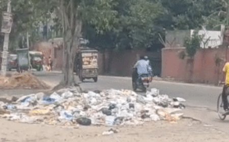 रोहतक में सफाई कर्मचारियों की हड़ताल से चरमराई सफाई व्यवस्था:शहर में लगे कचरे के ढेर, सड़कों पर ट्रालियों को कर रहे खाली