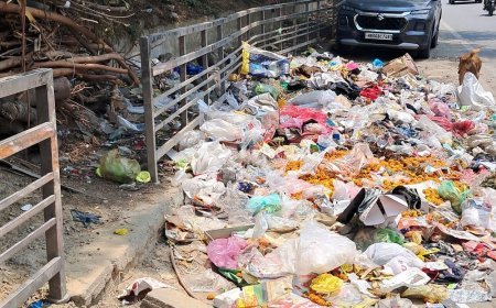 घरौंडा में स्वच्छ सर्वेक्षण के बीच सफाई व्यवस्था चरमराई:गंदगी के ढेर लगे, नाले ओवरफ्लो, नगर पालिका के आधे कर्मचारी हड़ताल पर