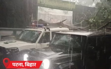 मध्य प्रदेश समेत 4 राज्यों में बारिश:बिहार में ओले गिरे; राजस्थान में आंधी से एक शख्स की मौत, बाड़मेर 45.7°C के साथ सबसे गर्म