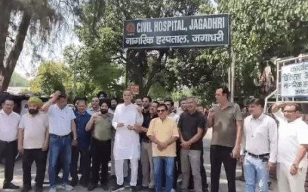 यमुनानगर के 2000 मेडिकल स्टोर बंद:हड़ताल कर ई-फार्मेसी के विरोध में प्रदर्शन, बोले- मरीजों की सेहत के साथ खिलवाड़ हो रहा