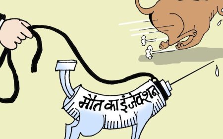 सुप्रीम कोर्ट बोला- खतरनाक कुत्तों को मौत का इंजेक्शन दें:लोगों की सुरक्षा जरूरी; जो अफसर निर्देश न माने, उस पर अवमानना का केस चले