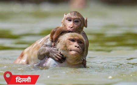 मानसून अगले हफ्ते केरलम पहुंचेगा, रफ्तार कम रहेगी:पूरे देश को देरी से कवर करेगा; MP-राजस्थान समेत 10 राज्यों में अगले 7 दिन हीटवेव अलर्ट