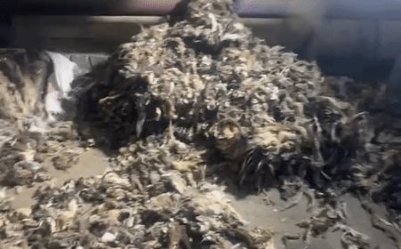 उत्तराखंड में तैयार हुआ ₹182 करोड़ का 'जिहादी ड्रग':50 हजार किराए के लिए सीरियाई नेटवर्क को सौंपी फैक्ट्री, पूरी प्लानिंग से चुना गया देहरादून