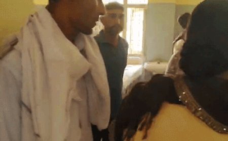 फतेहाबाद में हिसार से आ रही टाटा एस पलटी:2 बच्चों समेत 12 श्रद्धालु घायल, समागम से लौटते समय हुआ हादसा