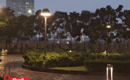 दिल्ली-MP में बारिश, हरियाणा-उत्तराखंड में ओले गिरे:छत्तीसगढ़ में आंधी से पेड़ उखड़े; राजस्थान-MP समेत 15 राज्यों में कल से गर्मी से राहत संभव