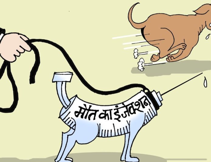 सुप्रीम कोर्ट बोला- खतरनाक कुत्तों को मौत का इंजेक्शन दें:लोगों की सुरक्षा जरूरी; जो अफसर निर्देश न माने, उस पर अवमानना का केस चले