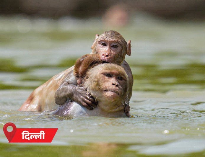 मानसून अगले हफ्ते केरलम पहुंचेगा, रफ्तार कम रहेगी:पूरे देश को देरी से कवर करेगा; MP-राजस्थान समेत 10 राज्यों में अगले 7 दिन हीटवेव अलर्ट