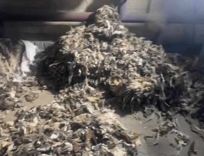 उत्तराखंड में तैयार हुआ ₹182 करोड़ का 'जिहादी ड्रग':50 हजार किराए के लिए सीरियाई नेटवर्क को सौंपी फैक्ट्री, पूरी प्लानिंग से चुना गया देहरादून