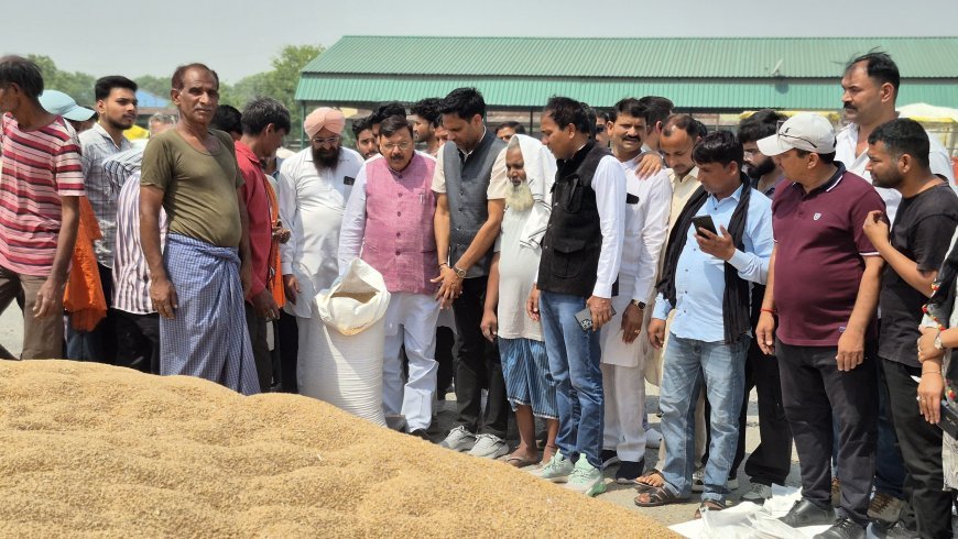 किच्छा,50 हजार मीट्रिक टन की गेहूं क्रय सीमा निर्धारित