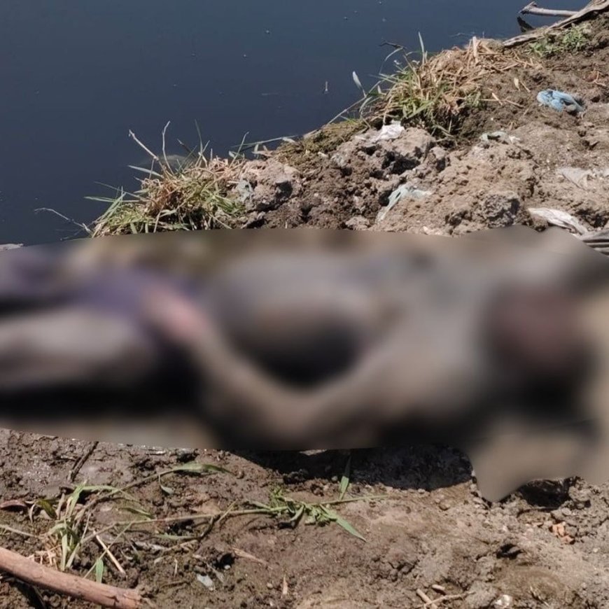 फरीदाबाद की नहर में मिला युवक का शव:जेब में मिले आधार कार्ड से हुई पहचान, दिल्ली का रहने वाला