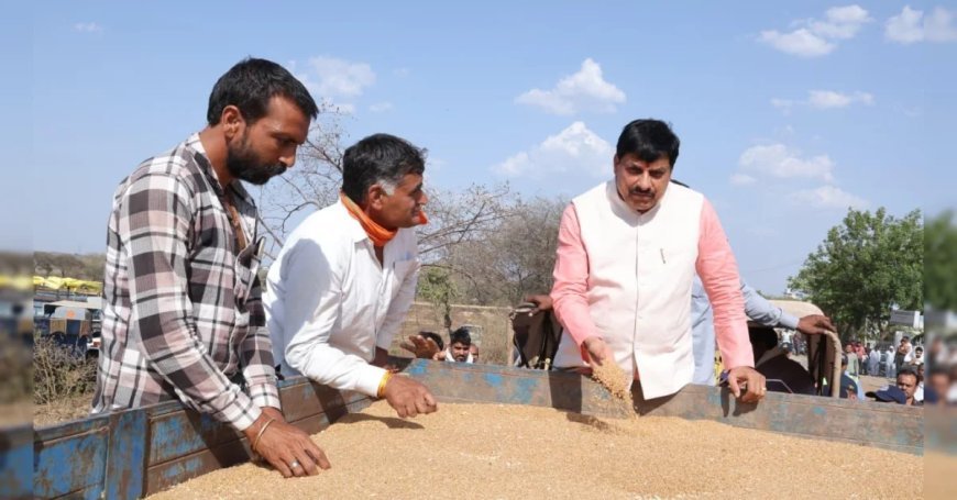 फिर अचानक गेहूं उपार्जन केंद्र पहुंचे सीएम डॉ. मोहन यादव, रिलीज किया वेयरहाउस की क्षमता बढ़ाने का ऑर्डर