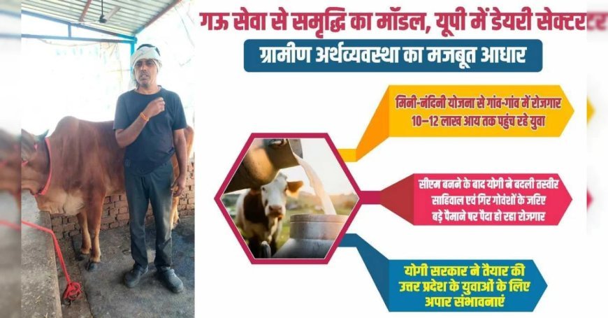 गो सेवा से समृद्धि का मॉडल, यूपी में डेयरी सेक्टर बना ग्रामीण अर्थव्यवस्था का मजबूत आधार